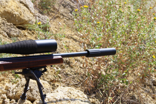 КАЛІБР 22LR та 22WMR